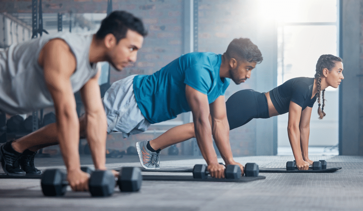Regular Gym Workouts